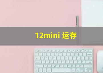 12mini 运存